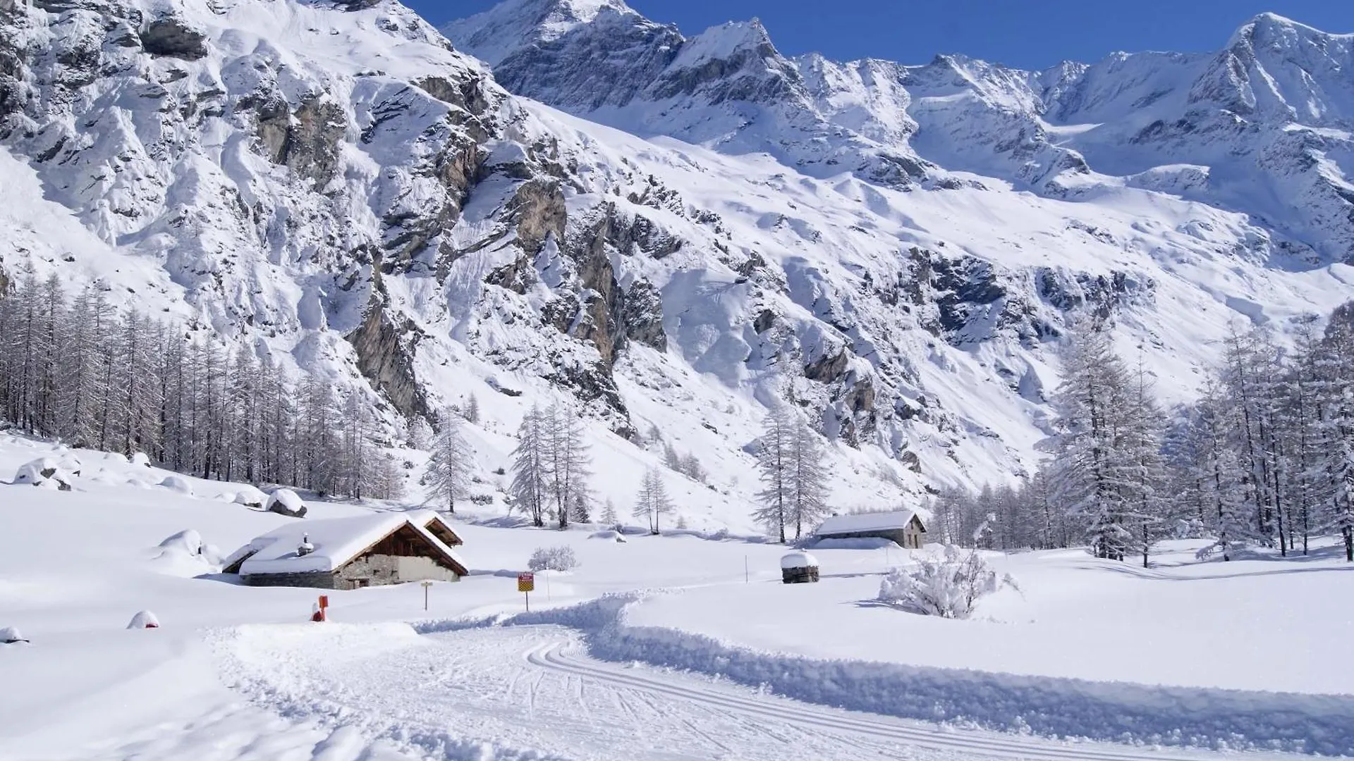 Apartment 15 Grande Ourse Sleeps 4/5 Vallandry - Les Arcs France
